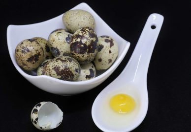Vaktelägg