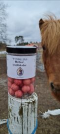 Tjäna pengar till ridlaget genom att sälja godis